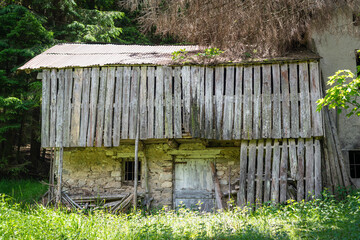 Old abandoned house in the middle of the woods, Gosaldo, Belluno, Italy