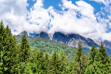 Landscape with fir forests and mountains covered by clouds Gosaldo, Belluno, Italy