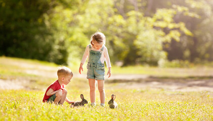A boy and a girl are playing with rabbits in a sunny glade © Ольга Потылицына