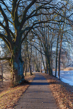 Brandenburg Barnim im Winter, Treidelweg am langen Tr&ouml;del Kanal, Ruhlsdorf Marienwerder Zerpenschleuse Winterzeit Winterferien Berliner Umland Winterspaziergang Natur Ruhe Stille Winterferien weg