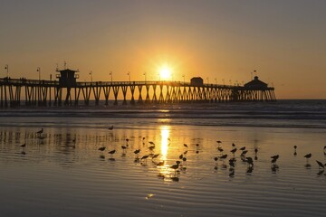 Obraz premium Seagull Birds and Scenic Sunset Sky over Imperial Beach Pier in San Diego, Southern California USA