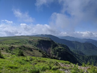 Fototapeta premium 夏の高原