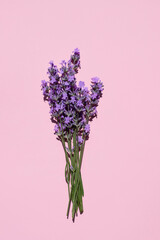 Fresh natural lavender bouquet on pink background. Flat lay, place for text. vertical image - obrazy, fototapety, plakaty