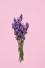 Poster Fresh natural lavender bouquet on pink background. Flat lay, place for text. vertical image © Алекс Ренко