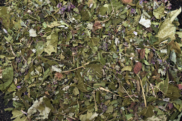 Dry infusion of herbal green tea with different type of leaves in macro. texture top view, wallpaper