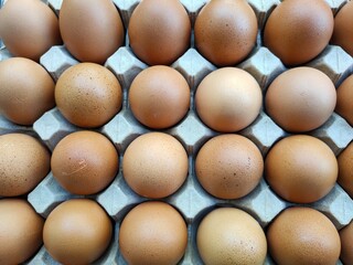 eggs in the market