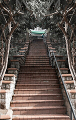 Aged stone staircase with railings covered with green plants. 