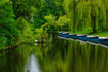 boats on the river