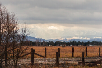 View of the Tatra Mountains
