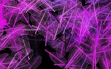 Obraz premium Dark Purple, Pink vector doodle texture with leaves.