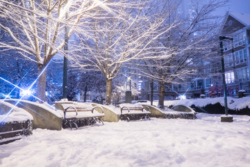 Fototapeta premium Nobody in the Park with Snow Covered Benches in a Quiet Night