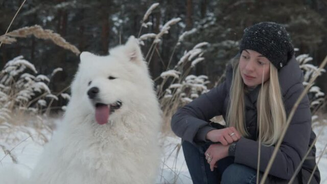 White Samoyed, fluffy dog and happy girl hugging, petting and cuddlng in a winter forest park, snowy day woods, cold, gloomy north weather. Pet and woman looking each other, animal companion friend.