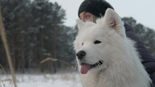 White Samoyed, fluffy dog and girl looking away. Winter forest park, snowy day woods, cold, gloomy north weather. Pet and woman hugging, petting and cuddling, animal companion friend.