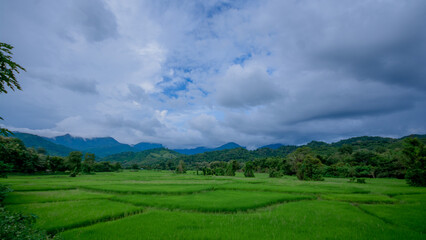 the rain is about to fall