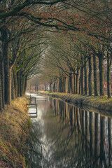 Row of trees along canal reflecting in the water surface