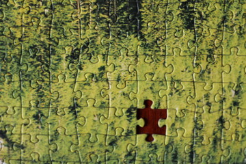 puzzles lie on a wooden table