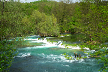 The rapids of the flooded mountain river Una and waterfall in old village Martin Brod in Bosnia and Herzegovina