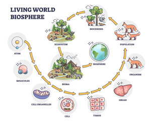 Living world biosphere with structural hierarchy division outline concept. Labeled educational classification from atom to bioma categories vector illustration. Biological chart with living organisms. - obrazy, fototapety, plakaty
