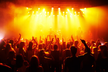 Engulfed in the music. Rear-view of a cheering crowd at a music concert- This concert was created...