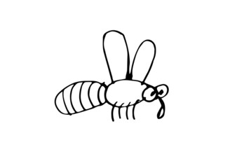 Flying bee. Outline sketch. Funny comical insect. Hand drawing is isolated on a white background. Vector