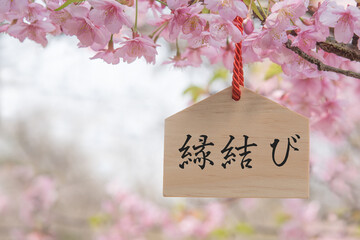 縁結び　桜の花　絵馬