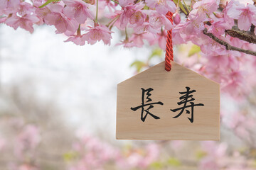 長寿　桜の花　絵馬