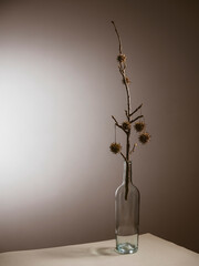 Bottiglia trasparente su tavolo bianco con ramo secco con frutti, fotografia in studio, ambientazione interna