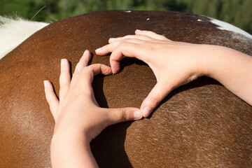 white and brown tinker horse back with heart made of human hands