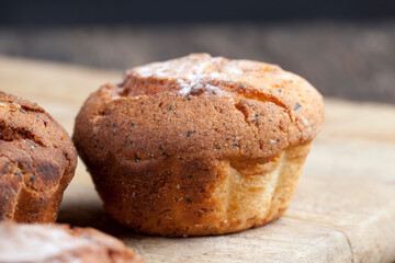 fresh cottage cheese cupcake on a wooden table