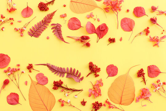 Top view image of autumn forest natural composition over yellow background .Flat lay