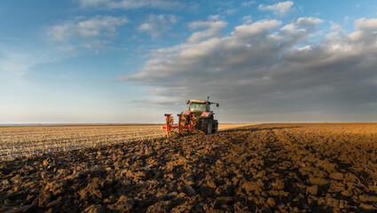 Fototapeta premium Tractor on the field during sunset.