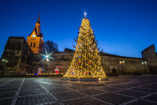 Christmas tree on the market place