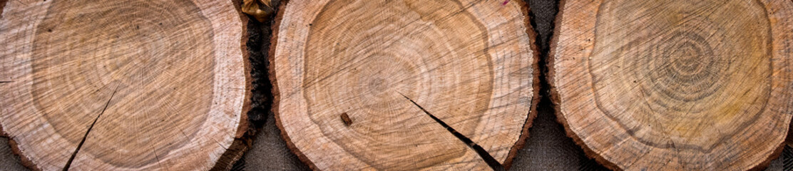 three trunks - texture of wood. Top view