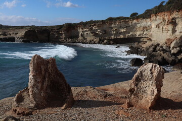 petrified trees in geopark of agios nikolaos, peleponnes, Greece