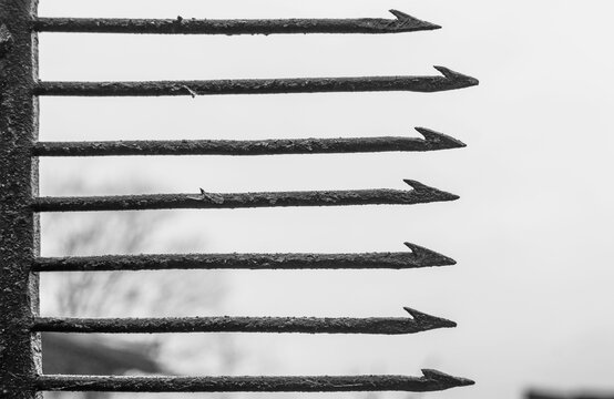 Antique harpoon for fishing