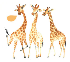 A company of funny and cute giraffes with speech buble. Watercolor Clipart Set isolated on white background