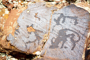 Petroglyphs on the rocks in Kazakhstan. The ancient parking cave man. Historical cave paintings....