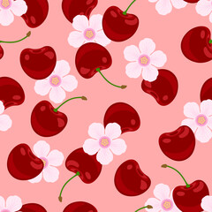 Cherry red berry and white flowers on pink background. Fresh fruits background. Vector flat illustration.