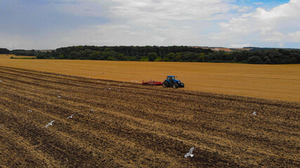 Aerial drone view of white storks feeding on plowed by tractor agricultural field.