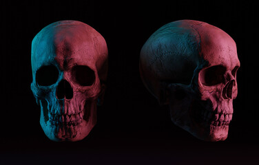 A skull of a man on a dark side and front view. 3d render, 3d illustration. Medical and anthropological concept. Human skull, medical research, human study.