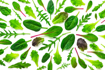 Set of baby green leaves isolated on white background. Arugula, spinach, beet, lettuce salad foliage flat lay. Collection of baby green salad leaves