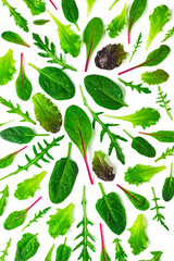 Set of baby green leaves isolated on white background. Arugula, spinach, beet, lettuce salad foliage flat lay. Collection of baby green salad leaves