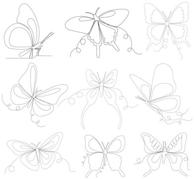 set of butterfly continuous line drawing, sketch,vector