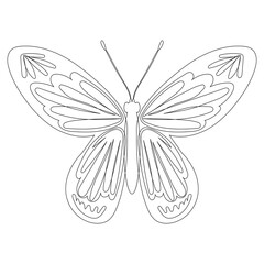 butterfly sketch on white background,isolated