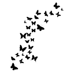 flying butterflies black silhouette, vector, isolated