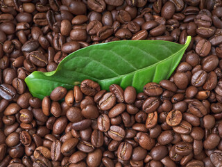 Background of coffee beans and coffee leaves. Close-up.