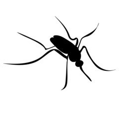 mosquito black silhouette, vector, isolated