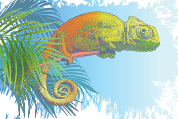 vector image of a red-haired chameleon in the style of sketches of sketches from life © Rezz