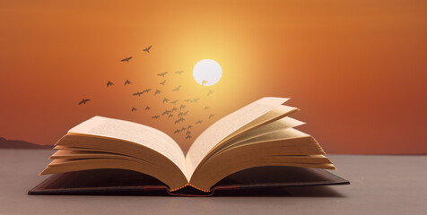 open book on table in front of setting sun with flying birds concept of freedom or free spirit in literature