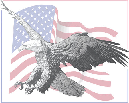 Vector image of an American bald eagle on the background of the usa flag, in the style of vintage book graphics